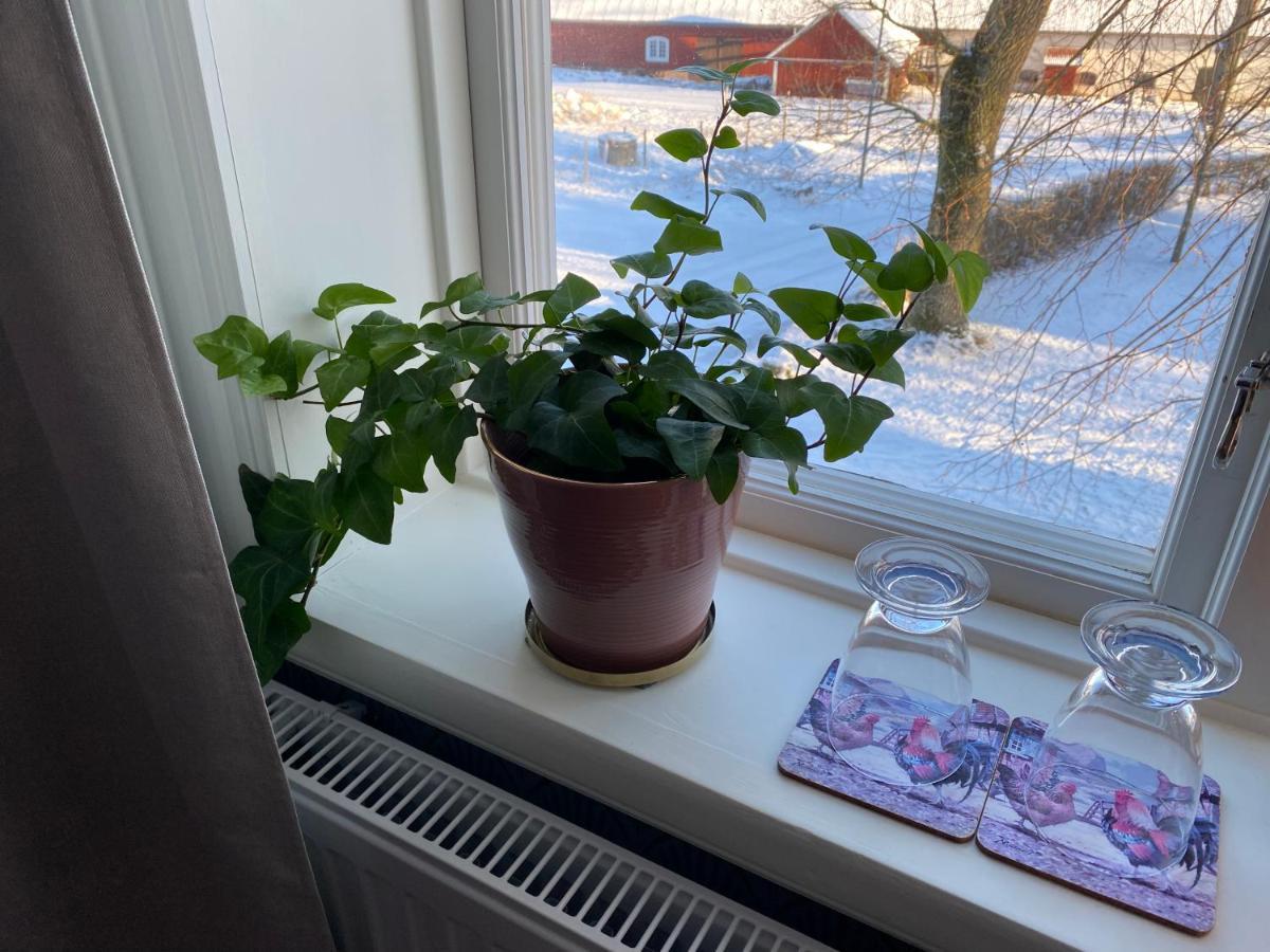 Bjaelbo Gaesthus B&B Skanninge Экстерьер фото
